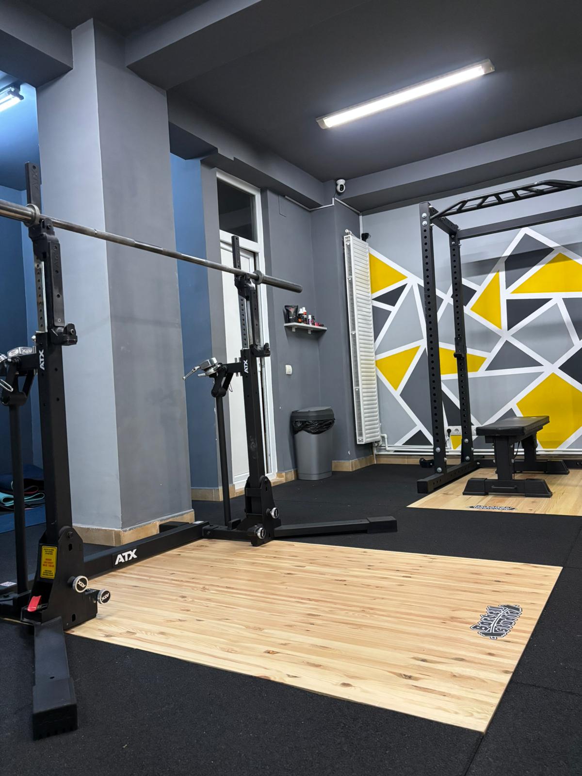 Squat stands and lifting platform