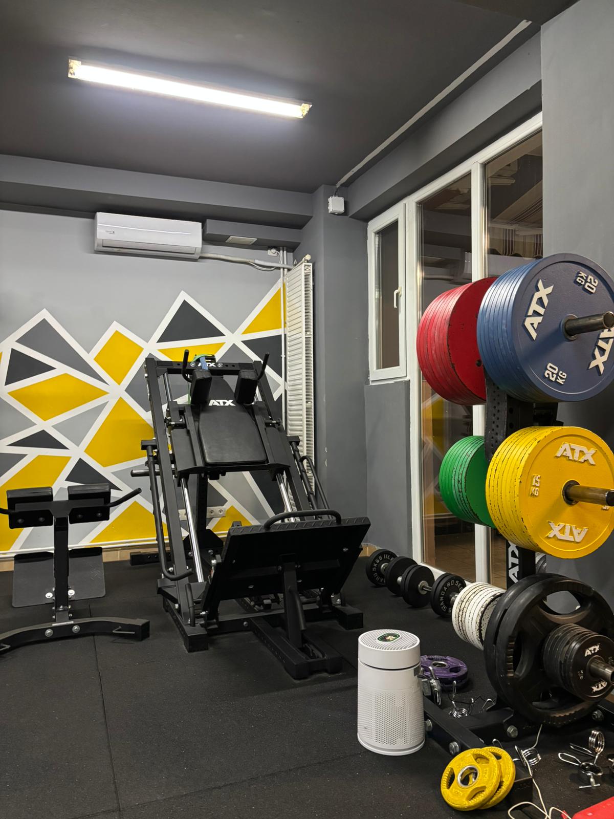 Leg press and bumper plates